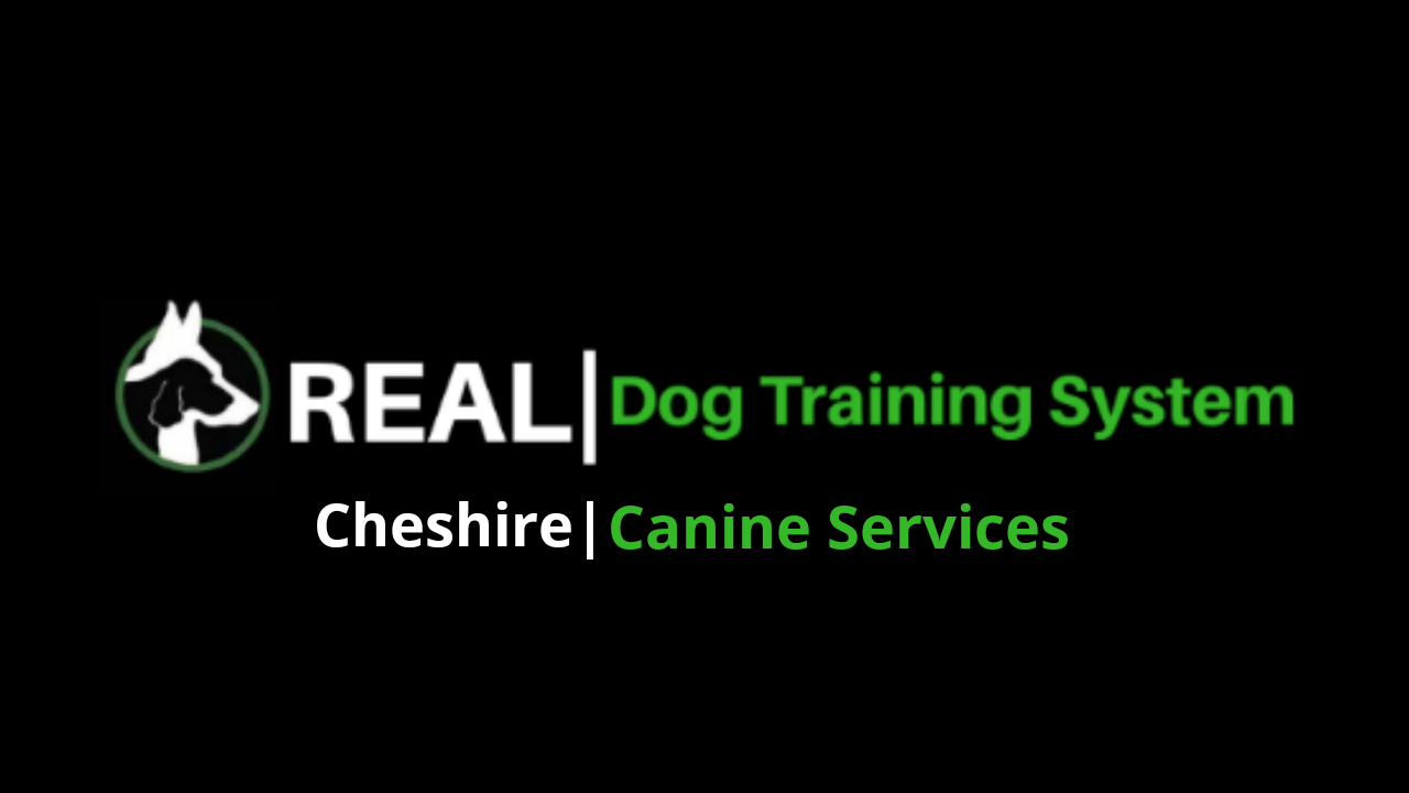 Cheshire Canine Services